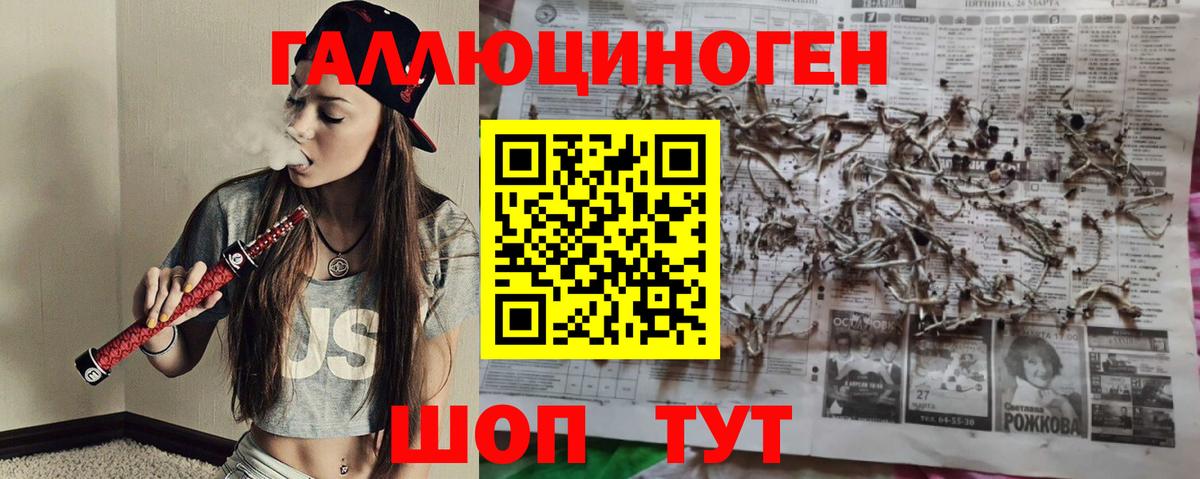 Псилоцибиновые грибы GOLDEN TEACHER  Вход с VPN  Сертолово 